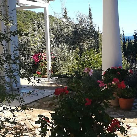 Villa Buras Skinária Eksteriør bilde