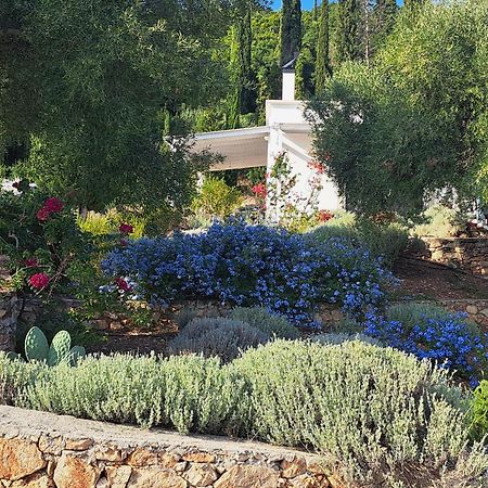 Villa Buras Skinária Eksteriør bilde