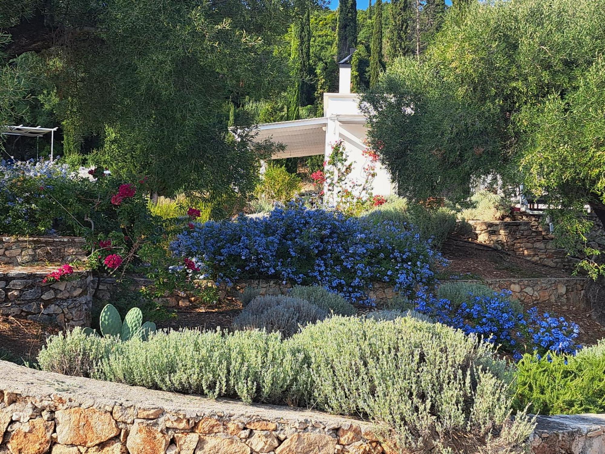 Villa Buras Skinária Eksteriør bilde