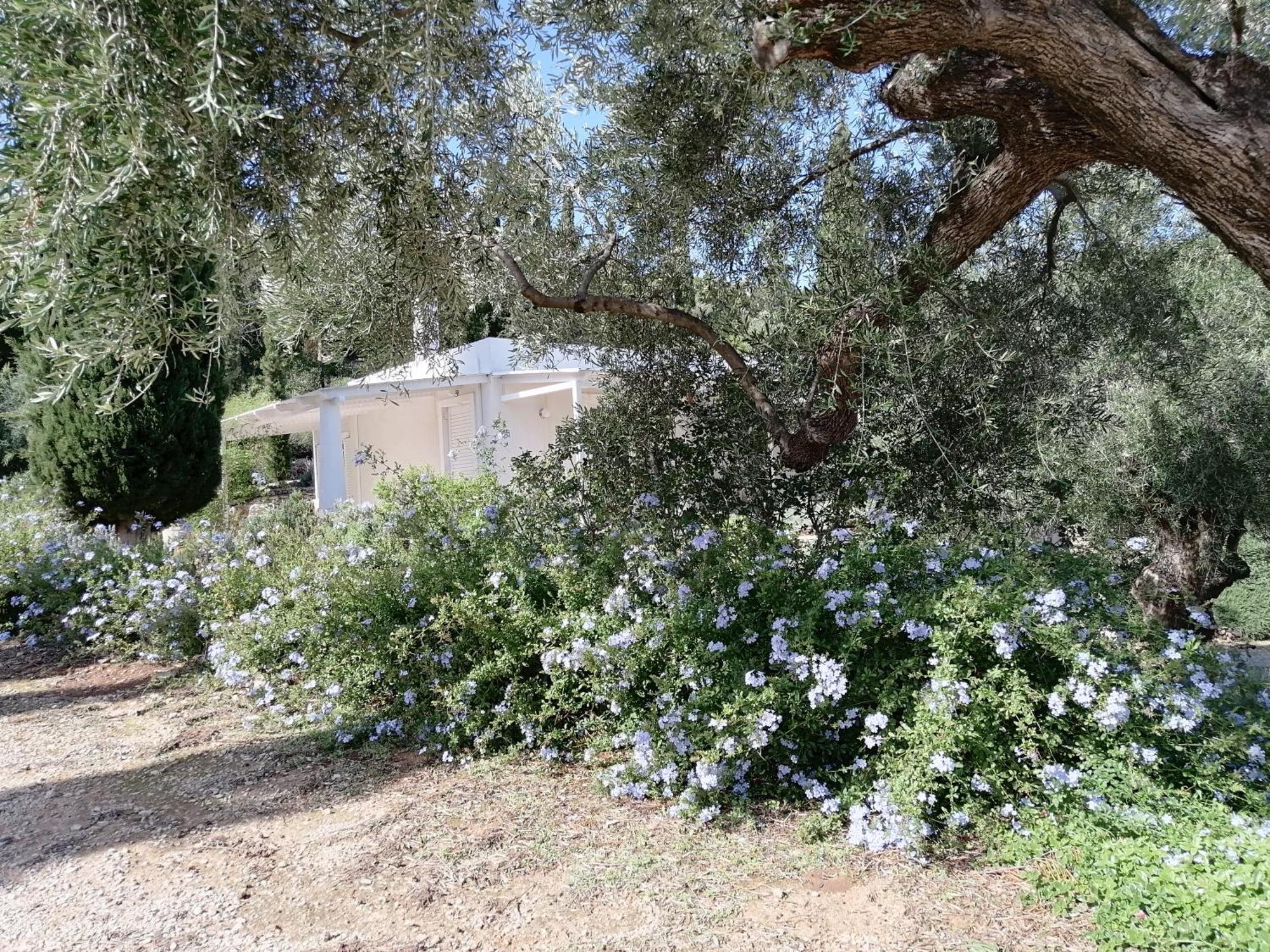 Villa Buras Skinária Eksteriør bilde