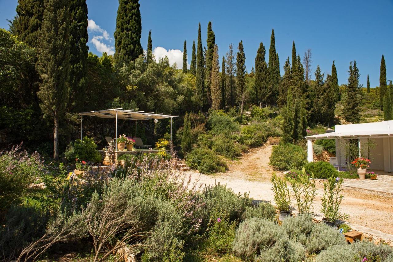 Villa Buras Skinária Eksteriør bilde